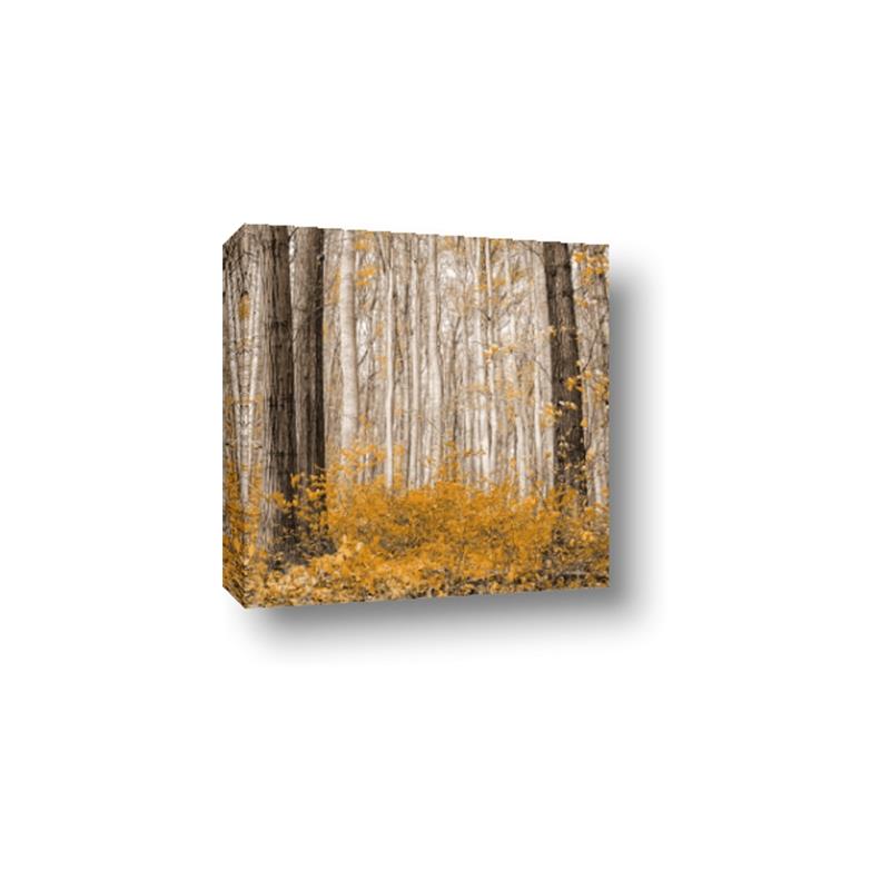 Picture of Mustard Forest _GroupedProduct_Square_Photography _GroupedProduct_Square_Canvas_