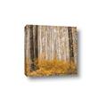 Picture of Mustard Forest _GroupedProduct_Square_Photography _GroupedProduct_Square_Canvas_