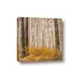 Picture of Mustard Forest _GroupedProduct_Square_Photography _GroupedProduct_Square_Canvas_