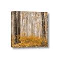 Picture of Mustard Forest _GroupedProduct_Square_Photography _GroupedProduct_Square_Canvas_