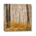 Picture of Mustard Forest _GroupedProduct_Square_Photography _GroupedProduct_Square_Canvas_