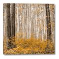 Picture of Mustard Forest _GroupedProduct_Square_Photography _GroupedProduct_Square_Canvas_