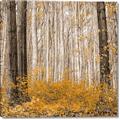 Picture of Mustard Forest _GroupedProduct_Square_Photography _GroupedProduct_Square_Canvas_
