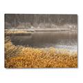 Picture of Mustard Grass Lake _GroupedProduct_Rectangle_Landscape_Photography _GroupedProduct_Rectangle_Landscape_Canvas_