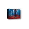Picture of Mysterious Woods  _GroupedProduct_Rectangle_Landscape_Photography _GroupedProduct_Rectangle_Landscape_Canvas_