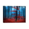 Picture of Mysterious Woods  _GroupedProduct_Rectangle_Landscape_Photography _GroupedProduct_Rectangle_Landscape_Canvas_