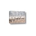 Picture of Oh Deer  _GroupedProduct_Rectangle_Landscape_Photography _GroupedProduct_Rectangle_Landscape_Canvas_