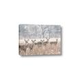 Picture of Oh Deer  _GroupedProduct_Rectangle_Landscape_Photography _GroupedProduct_Rectangle_Landscape_Canvas_