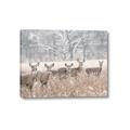 Picture of Oh Deer  _GroupedProduct_Rectangle_Landscape_Photography _GroupedProduct_Rectangle_Landscape_Canvas_