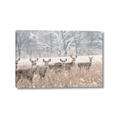 Picture of Oh Deer  _GroupedProduct_Rectangle_Landscape_Photography _GroupedProduct_Rectangle_Landscape_Canvas_
