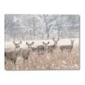 Picture of Oh Deer  _GroupedProduct_Rectangle_Landscape_Photography _GroupedProduct_Rectangle_Landscape_Canvas_