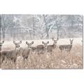 Picture of Oh Deer  _GroupedProduct_Rectangle_Landscape_Photography _GroupedProduct_Rectangle_Landscape_Canvas_