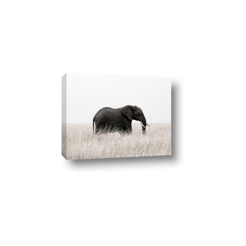 Picture of Out of Africa  _GroupedProduct_Rectangle_Landscape_Photography _GroupedProduct_Rectangle_Landscape_Canvas_