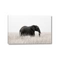 Picture of Out of Africa  _GroupedProduct_Rectangle_Landscape_Photography _GroupedProduct_Rectangle_Landscape_Canvas_