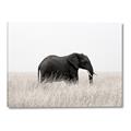 Picture of Out of Africa  _GroupedProduct_Rectangle_Landscape_Photography _GroupedProduct_Rectangle_Landscape_Canvas_