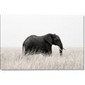 Picture of Out of Africa  _GroupedProduct_Rectangle_Landscape_Photography _GroupedProduct_Rectangle_Landscape_Canvas_