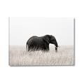Picture of Out of Africa  _GroupedProduct_Rectangle_Landscape_Photography _GroupedProduct_Rectangle_Landscape_Canvas_