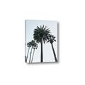 Picture of Palm Trees  _GroupedProduct_Rectangle_Portrait_Photography _GroupedProduct_Rectangle_Portrait_Canvas_