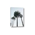 Picture of Palm Trees  _GroupedProduct_Rectangle_Portrait_Photography _GroupedProduct_Rectangle_Portrait_Canvas_