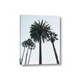 Picture of Palm Trees  _GroupedProduct_Rectangle_Portrait_Photography _GroupedProduct_Rectangle_Portrait_Canvas_