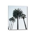 Picture of Palm Trees  _GroupedProduct_Rectangle_Portrait_Photography _GroupedProduct_Rectangle_Portrait_Canvas_