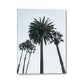 Picture of Palm Trees  _GroupedProduct_Rectangle_Portrait_Photography _GroupedProduct_Rectangle_Portrait_Canvas_