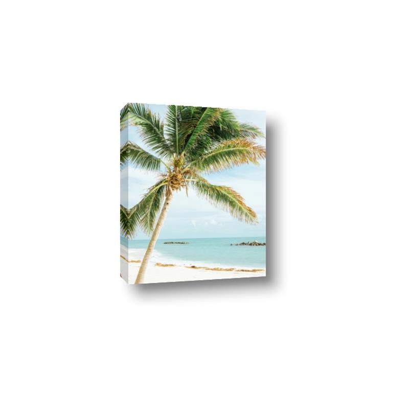 Picture of Palm Trees II _GroupedProduct_Rectangle_Portrait_Photography _GroupedProduct_Rectangle_Portrait_Canvas_