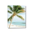 Picture of Palm Trees II _GroupedProduct_Rectangle_Portrait_Photography _GroupedProduct_Rectangle_Portrait_Canvas_