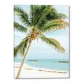 Picture of Palm Trees II _GroupedProduct_Rectangle_Portrait_Photography _GroupedProduct_Rectangle_Portrait_Canvas_