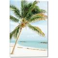 Picture of Palm Trees II _GroupedProduct_Rectangle_Portrait_Photography _GroupedProduct_Rectangle_Portrait_Canvas_