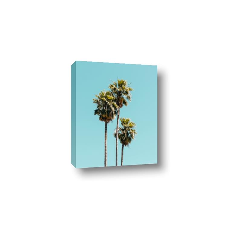 Picture of Palm Trees III _GroupedProduct_Rectangle_Portrait_Photography _GroupedProduct_Rectangle_Portrait_Canvas_