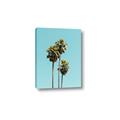Picture of Palm Trees III _GroupedProduct_Rectangle_Portrait_Photography _GroupedProduct_Rectangle_Portrait_Canvas_