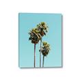 Picture of Palm Trees III _GroupedProduct_Rectangle_Portrait_Photography _GroupedProduct_Rectangle_Portrait_Canvas_