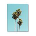 Picture of Palm Trees III _GroupedProduct_Rectangle_Portrait_Photography _GroupedProduct_Rectangle_Portrait_Canvas_