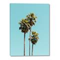 Picture of Palm Trees III _GroupedProduct_Rectangle_Portrait_Photography _GroupedProduct_Rectangle_Portrait_Canvas_