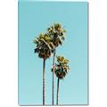Picture of Palm Trees III _GroupedProduct_Rectangle_Portrait_Photography _GroupedProduct_Rectangle_Portrait_Canvas_