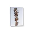 Picture of Palm Trees IV _GroupedProduct_Rectangle_Portrait_Photography _GroupedProduct_Rectangle_Portrait_Canvas_