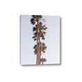 Picture of Palm Trees IV _GroupedProduct_Rectangle_Portrait_Photography _GroupedProduct_Rectangle_Portrait_Canvas_