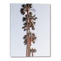 Picture of Palm Trees IV _GroupedProduct_Rectangle_Portrait_Photography _GroupedProduct_Rectangle_Portrait_Canvas_