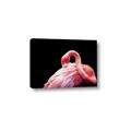 Picture of Pink in Contrast  _GroupedProduct_Rectangle_Landscape_Photography _GroupedProduct_Rectangle_Landscape_Canvas_
