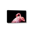 Picture of Pink in Contrast  _GroupedProduct_Rectangle_Landscape_Photography _GroupedProduct_Rectangle_Landscape_Canvas_