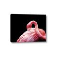 Picture of Pink in Contrast  _GroupedProduct_Rectangle_Landscape_Photography _GroupedProduct_Rectangle_Landscape_Canvas_