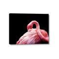 Picture of Pink in Contrast  _GroupedProduct_Rectangle_Landscape_Photography _GroupedProduct_Rectangle_Landscape_Canvas_