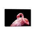 Picture of Pink in Contrast  _GroupedProduct_Rectangle_Landscape_Photography _GroupedProduct_Rectangle_Landscape_Canvas_