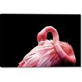 Picture of Pink in Contrast  _GroupedProduct_Rectangle_Landscape_Photography _GroupedProduct_Rectangle_Landscape_Canvas_