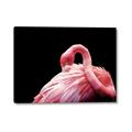 Picture of Pink in Contrast  _GroupedProduct_Rectangle_Landscape_Photography _GroupedProduct_Rectangle_Landscape_Canvas_