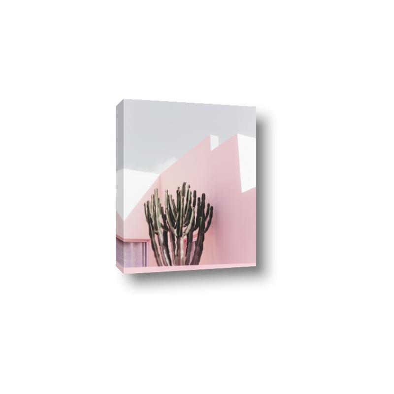 Picture of Pink Cactus II _GroupedProduct_Rectangle_Portrait_Photography _GroupedProduct_Rectangle_Portrait_Canvas_