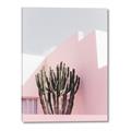 Picture of Pink Cactus II _GroupedProduct_Rectangle_Portrait_Photography _GroupedProduct_Rectangle_Portrait_Canvas_