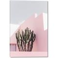 Picture of Pink Cactus II _GroupedProduct_Rectangle_Portrait_Photography _GroupedProduct_Rectangle_Portrait_Canvas_