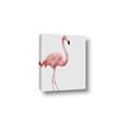 Picture of Pinkfully Perfect  _GroupedProduct_Rectangle_Portrait_Photography _GroupedProduct_Rectangle_Portrait_Canvas_